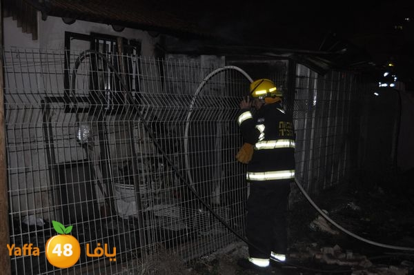 ramlainfejar315 (4).JPG